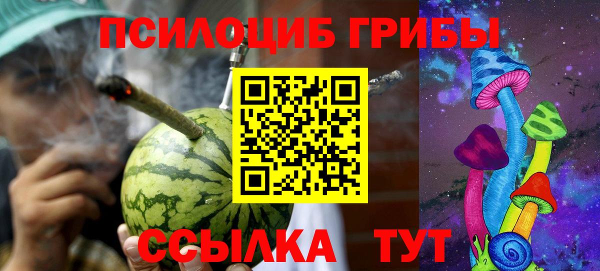 Псилоцибиновые грибы мицелий  Галлюциногенные грибы Cubensis  Тверь  Вход с VPN 