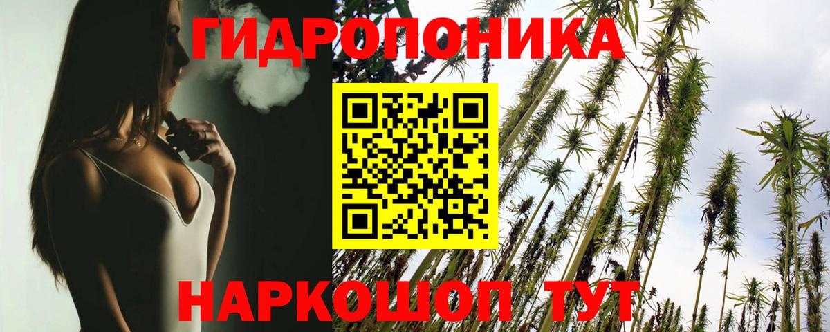 Тверь  Бошки Шишки ГИДРОПОН  Марихуана Ganja  Вход с VPN  Конопля White Widow  Бошки марихуана гибрид 